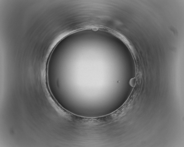 X0000113150811200909041232