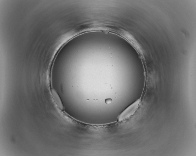 X0000113150813200909041232