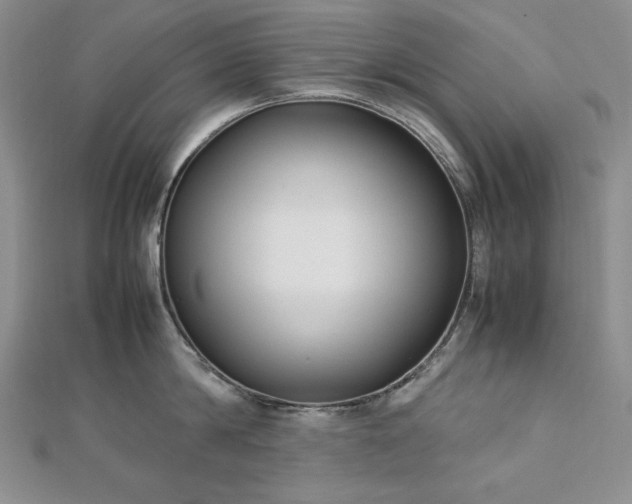 X0000113150814200909041232