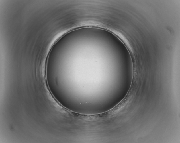 X0000113150815200909041232