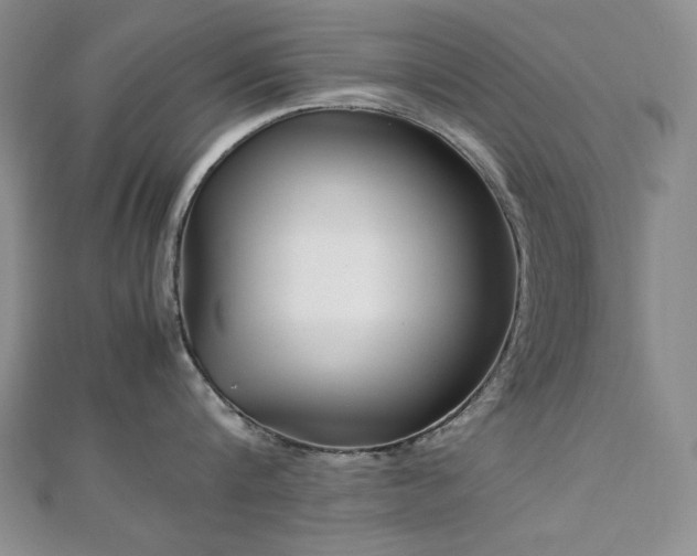 X0000113150816200909041232