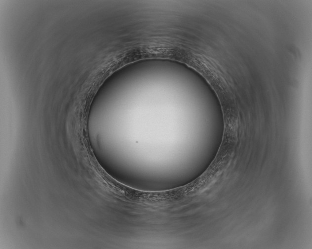 X0000113150817200909041231