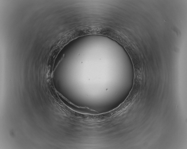 X0000113150818200909041231