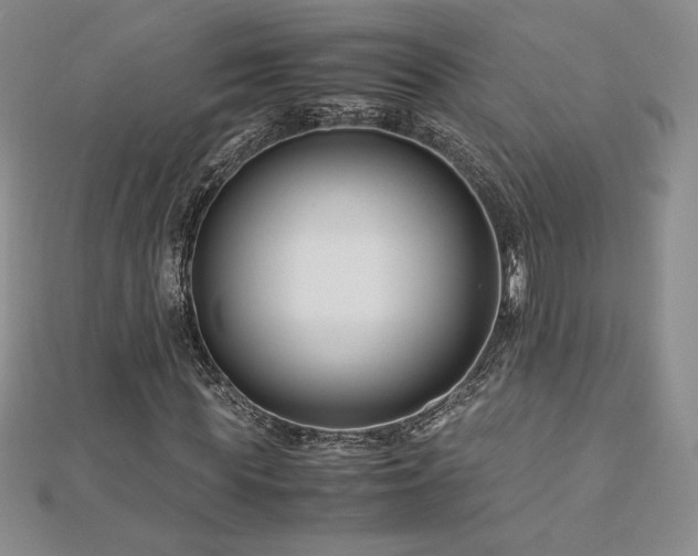 X0000113150819200909041231