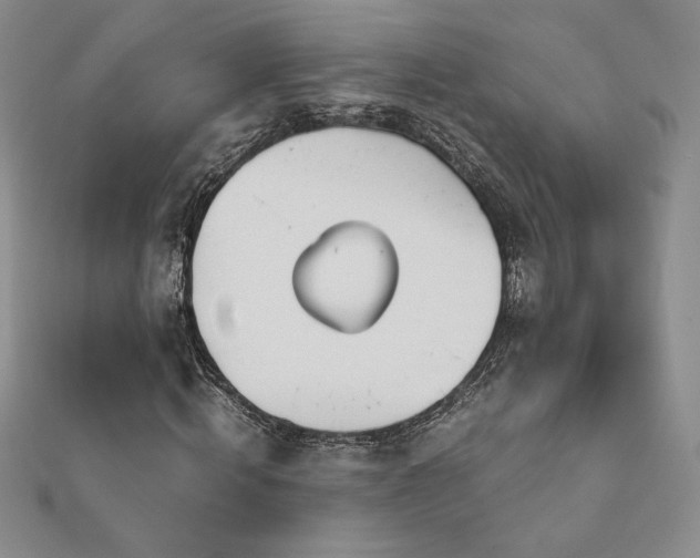 X0000113150820200909041231