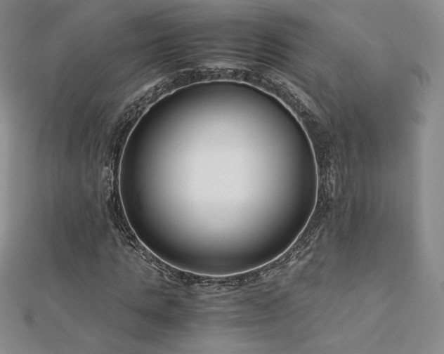 X0000113150821200909041231