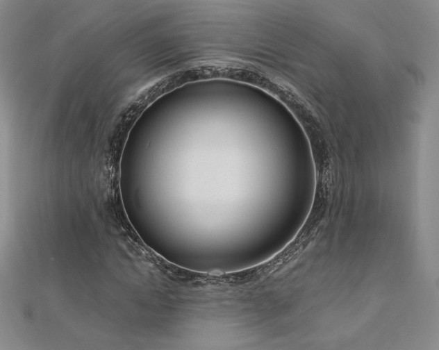 X0000113150822200909041231