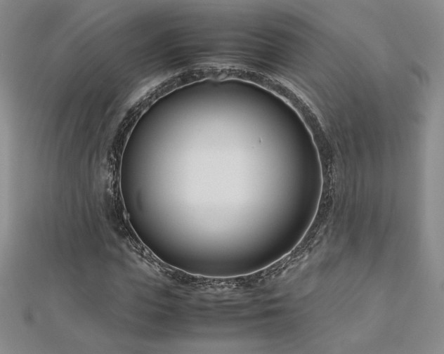 X0000113150823200909041231