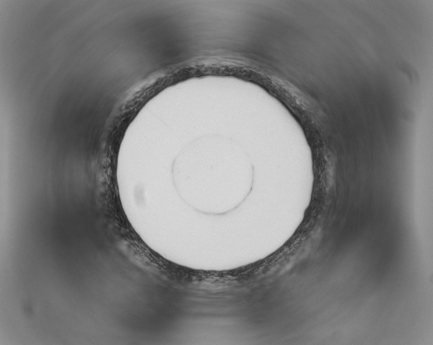 X0000113150824200909041231