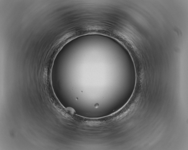 X0000113150825200909041231