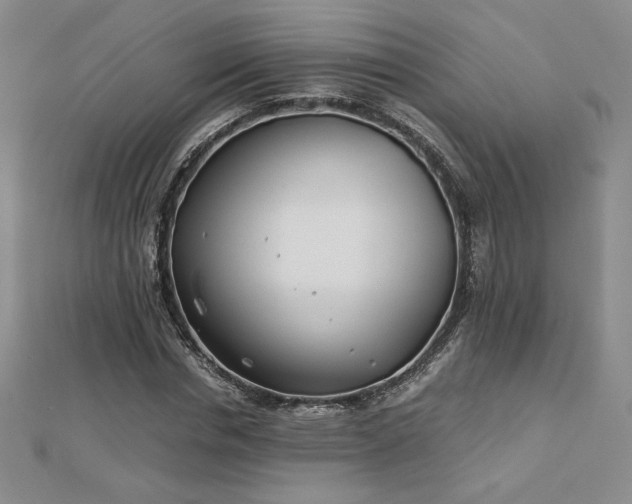 X0000113150826200909041231