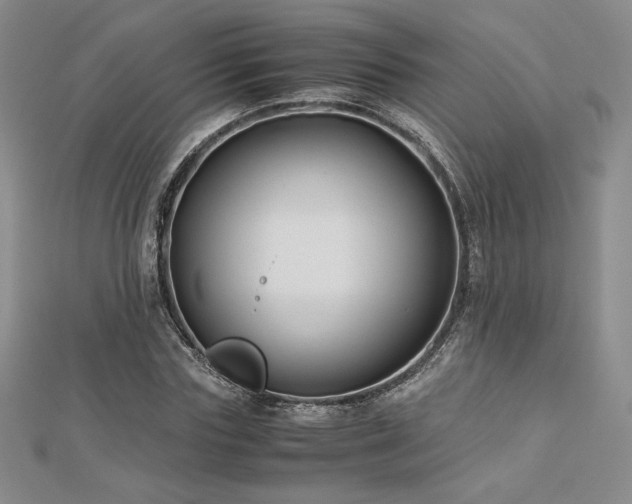 X0000113150827200909041231