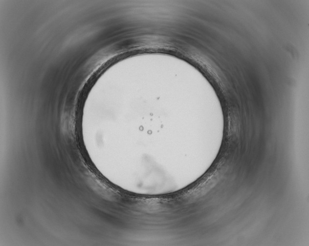 X0000113150828200909041231