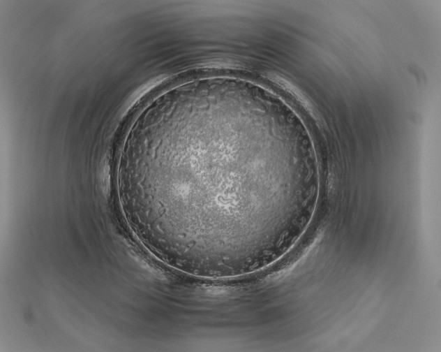 X0000113150829200909041231