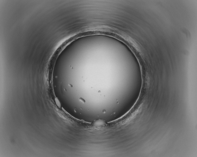 X0000113150830200909041231