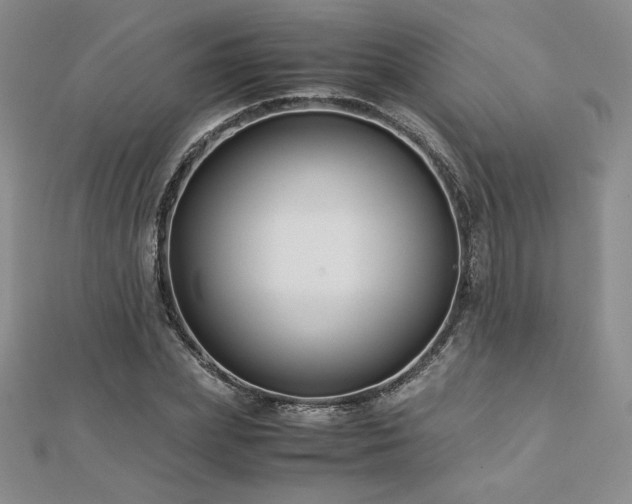 X0000113150831200909041231