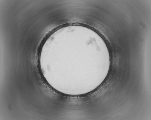 X0000113150832200909041231