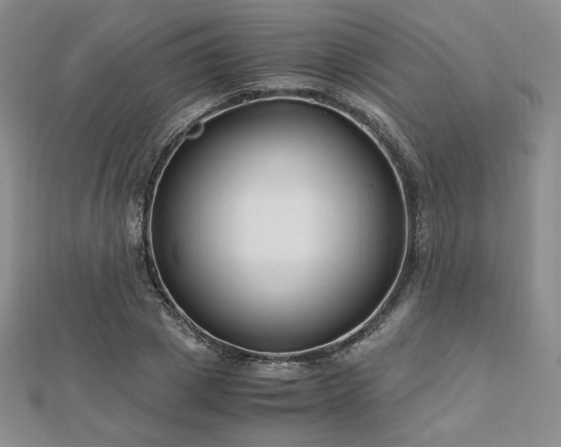 X0000113150833200909041231