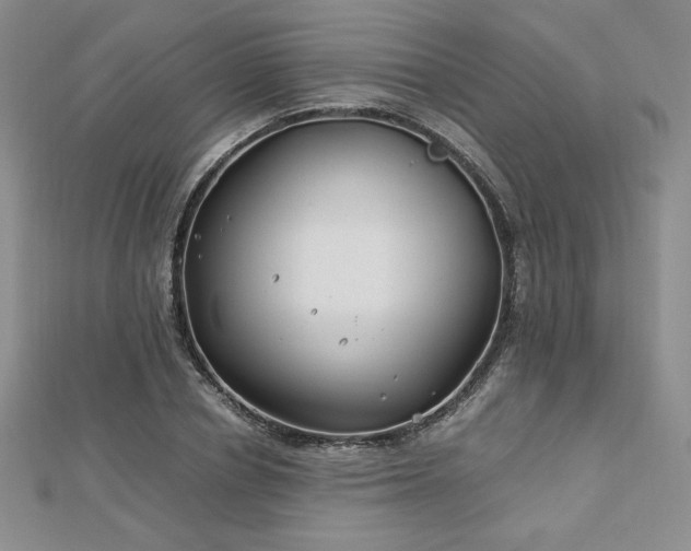 X0000113150834200909041231