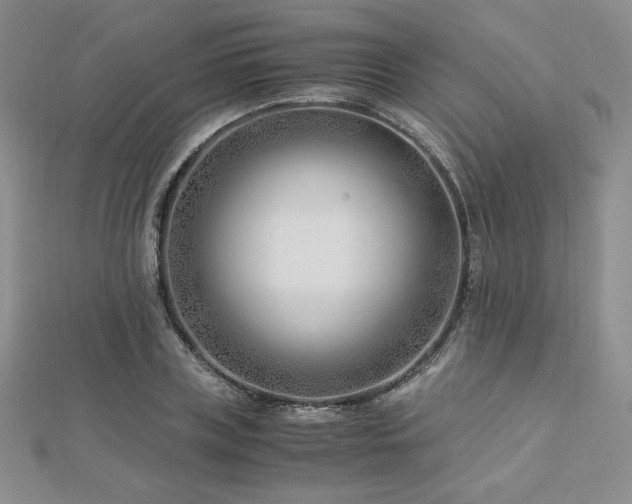 X0000113150835200909041231