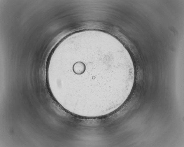 X0000113150836200909041231