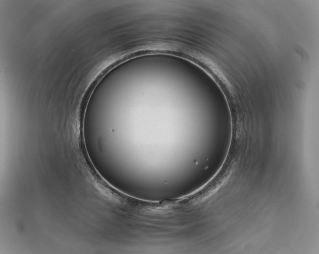 X0000113150837200909041231