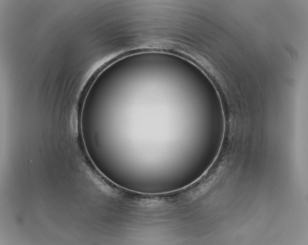 X0000113150838200909041231