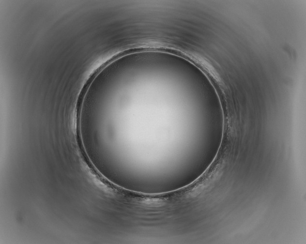 X0000113150839200909041231