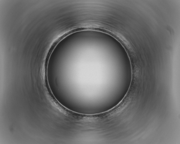 X0000113150840200909041231