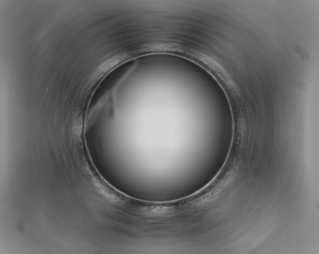 X0000113150841200909041231