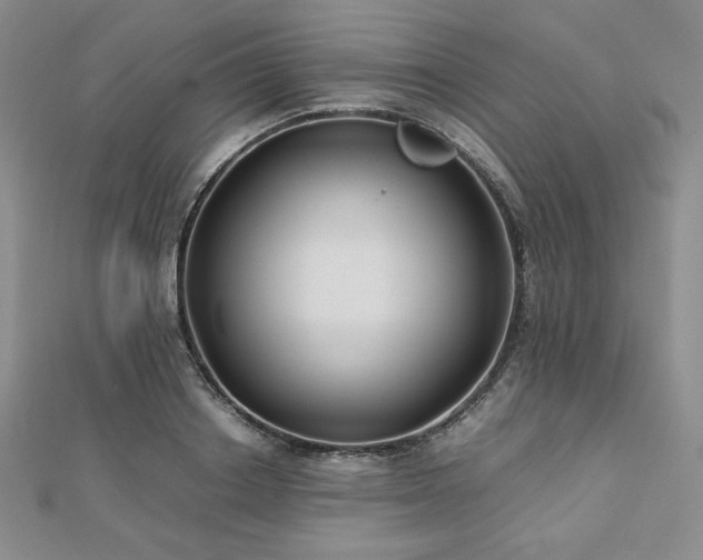 X0000113150842200909041231