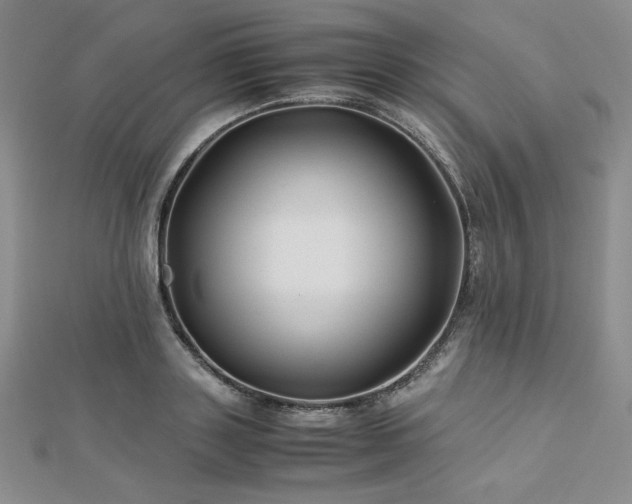 X0000113150843200909041232