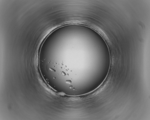 X0000113150844200909041232