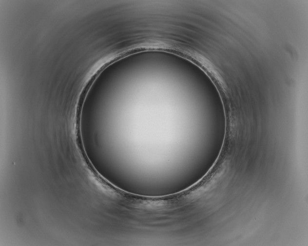 X0000113150845200909041232