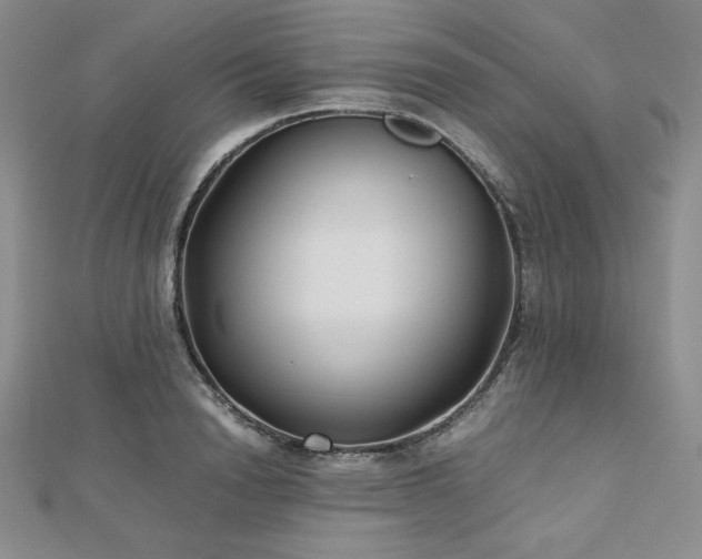 X0000113150846200909041232