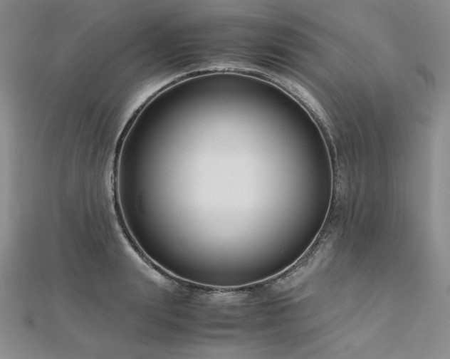 X0000113150847200909041232