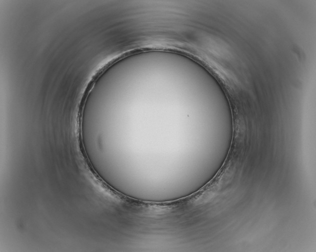 X0000113150848200909041232