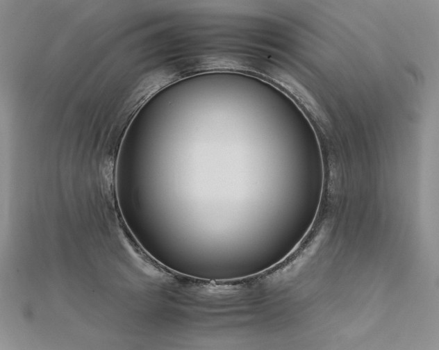 X0000113150849200909041232