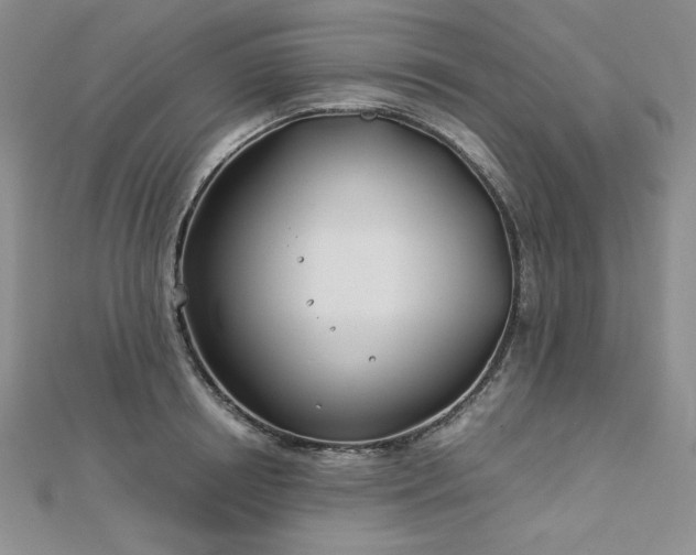 X0000113150850200909041232