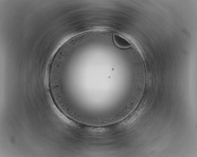 X0000113150851200909041232