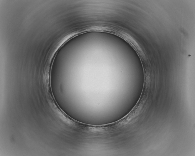 X0000113150852200909041232