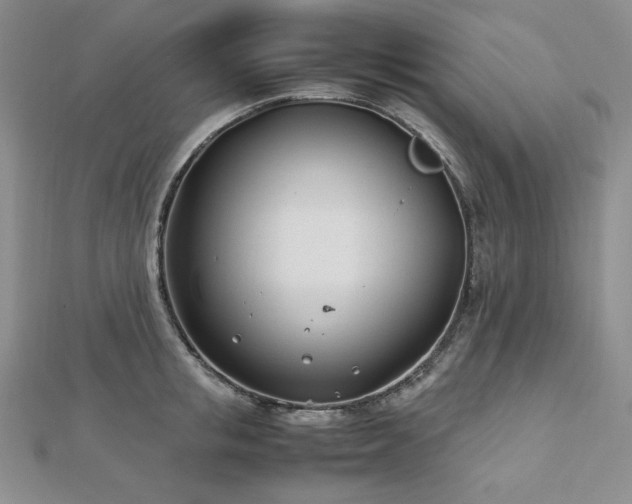 X0000113150853200909041232