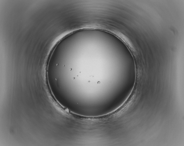 X0000113150854200909041232