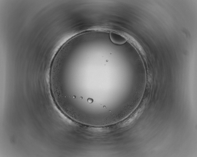 X0000113150855200909041232