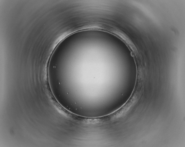 X0000113150858200909041232