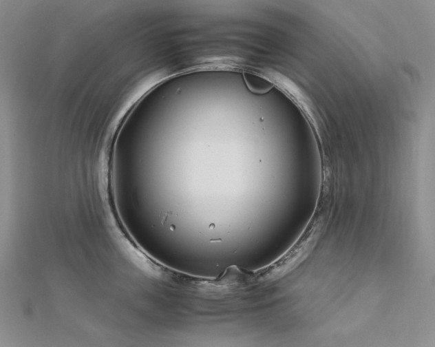 X0000113150859200909041232