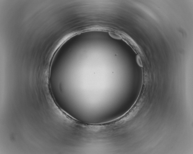 X0000113150860200909041232