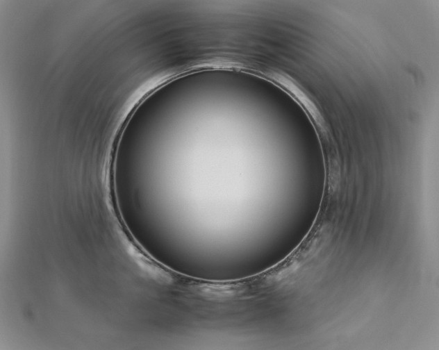 X0000113150861200909041232