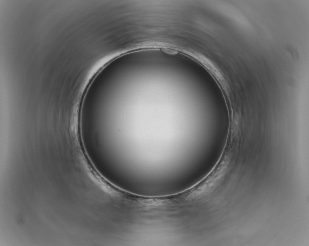 X0000113150862200909041232