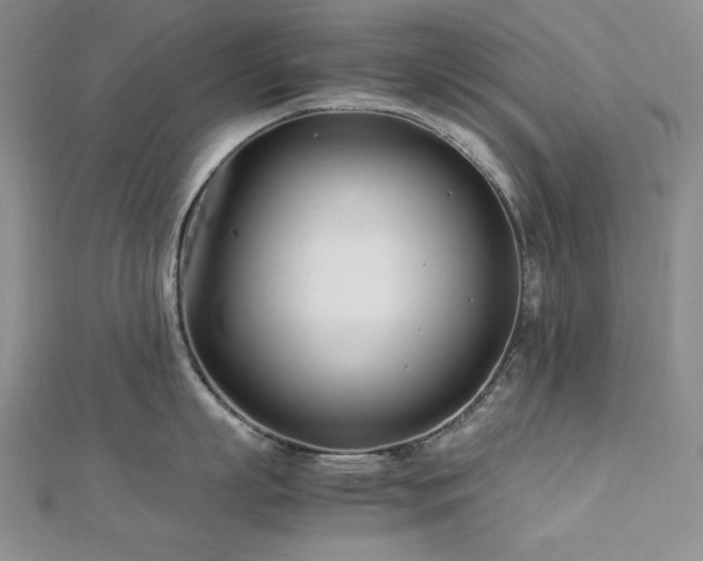 X0000113150863200909041232